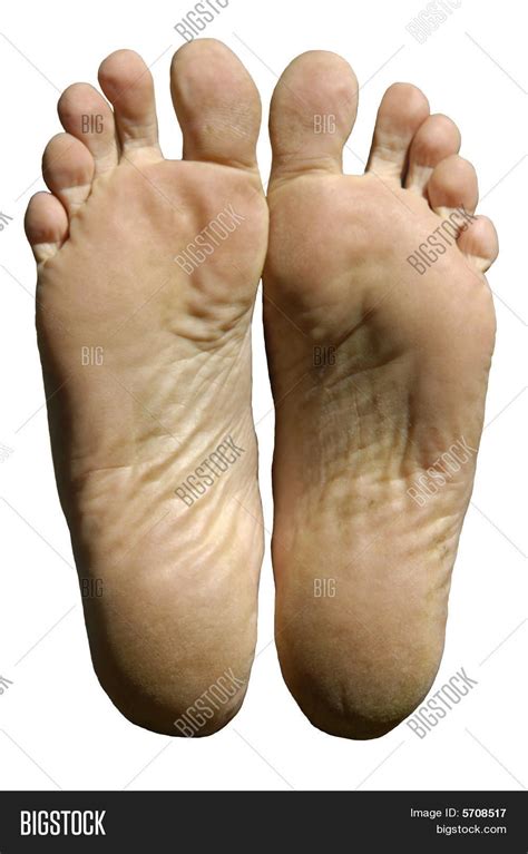 male:sole male .